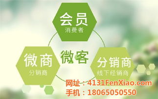 龍海制造，網加賦能 技術推廣如何驅動工廠網絡營銷新篇章
